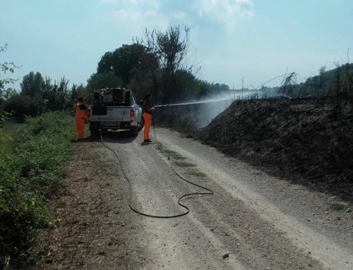 Campagna Antincendio Boschivo 2017