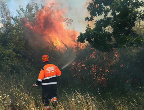 Campagna Antincendio Boschivo 2020